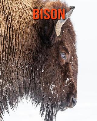 Book cover for Bison