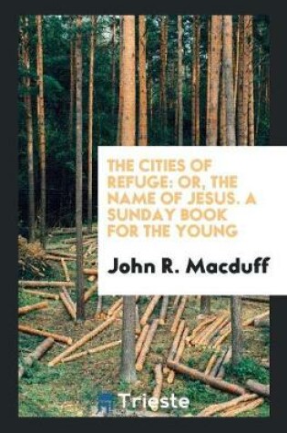 Cover of The Cities of Refuge