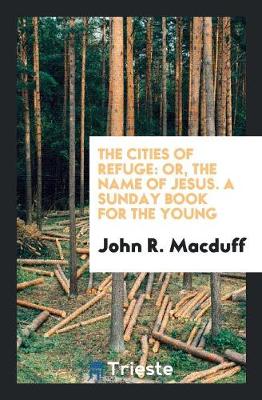 Book cover for The Cities of Refuge