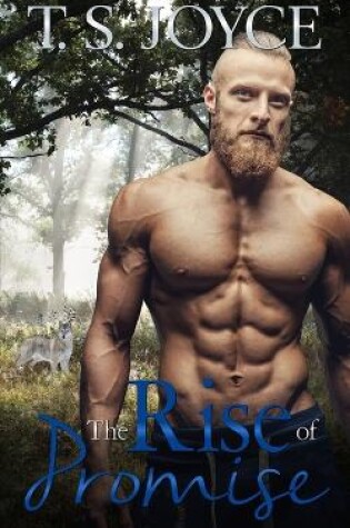 Cover of The Rise of Promise