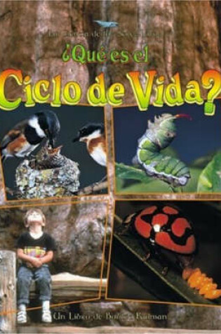Cover of Que es el Ciclo de Vida?