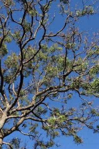 Cover of Azadirachta Indica Neem Tree, Jumbo Oversized