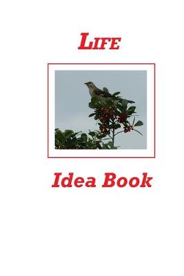 Book cover for Life Idea Book