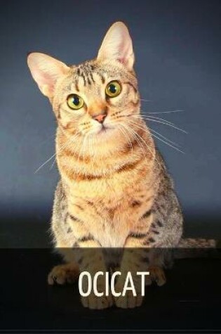 Cover of Ocicat