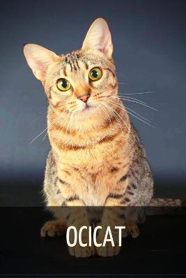 Book cover for Ocicat