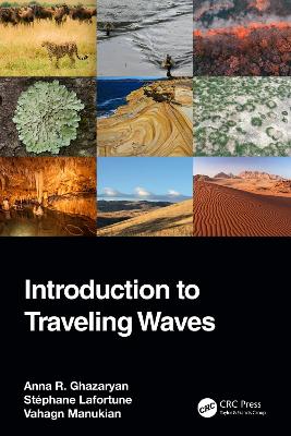 Book cover for Introduction to Traveling Waves