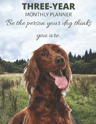 Book cover for Three Year Monthly Planner Starting 2020 Agenda with Weekly Plan Space - Best Gift For Dog Owner - Funny Irish Setter Appointment Book for 2021 & 2022