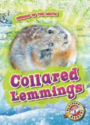 Cover of Collared Lemmings