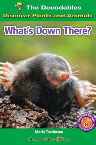 Cover of What's Down There?