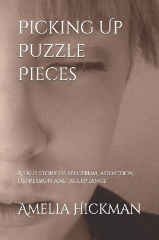 Cover of Picking Up Puzzle Pieces