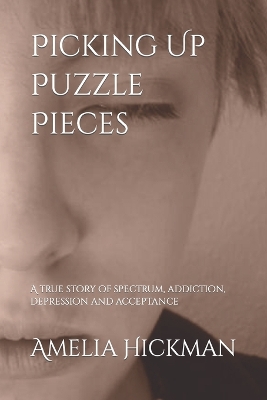 Book cover for Picking Up Puzzle Pieces