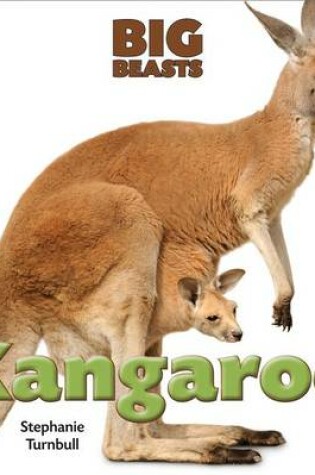 Cover of Kangaroo