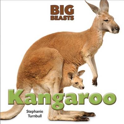 Cover of Kangaroo