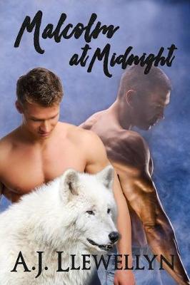 Book cover for Malcolm at Midnight