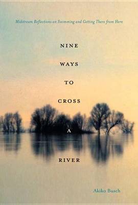 Book cover for Nine Ways to Cross a River