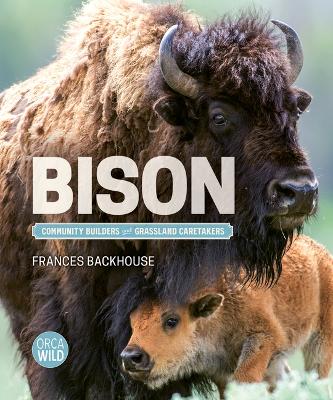 Cover of Bison