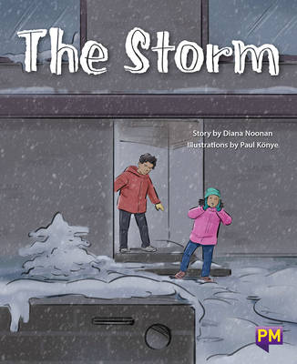 Book cover for The Storm