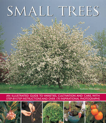 Book cover for Small Trees