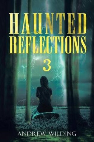 Cover of Haunted Reflections 3
