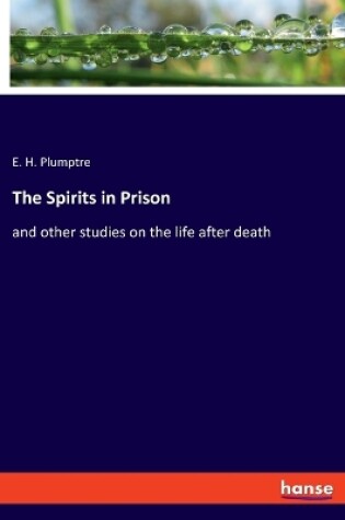Cover of The Spirits in Prison