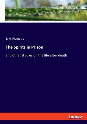 Book cover for The Spirits in Prison