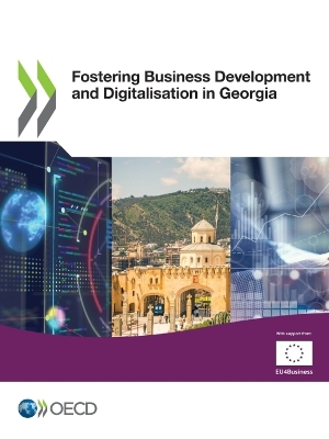 Book cover for Fostering Business Development and Digitalisation in Georgia