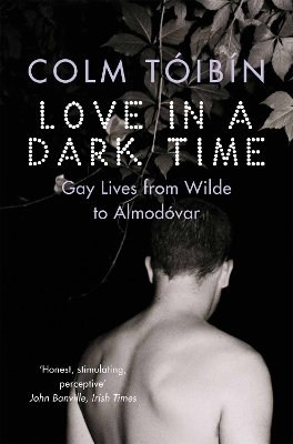 Book cover for Love in a Dark Time