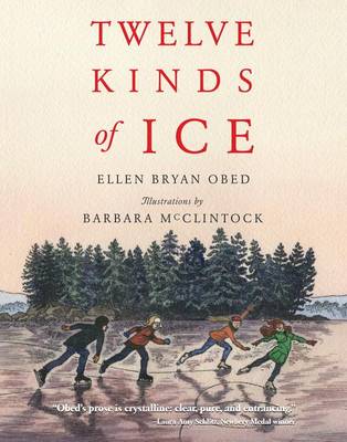 Book cover for Twelve Kinds of Ice