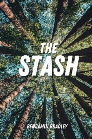 Cover of The Stash