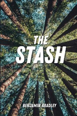 Book cover for The Stash