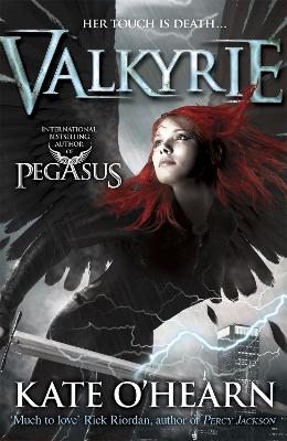 Book cover for Valkyrie