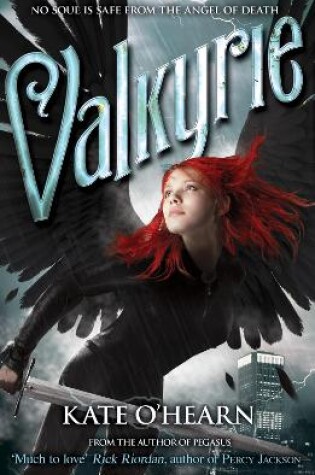 Cover of Valkyrie