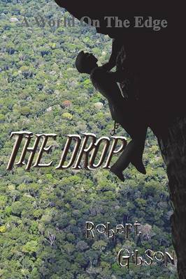 Book cover for The Drop