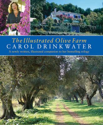 Book cover for The Illustrated Olive Farm