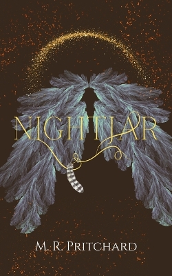 Book cover for Nightjar