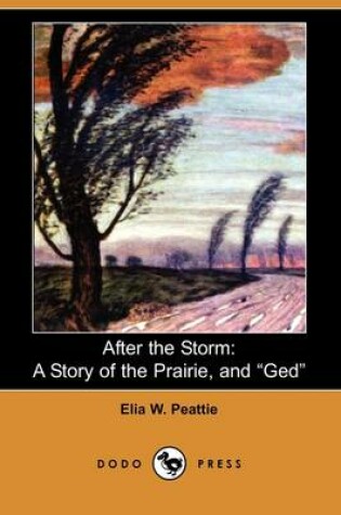 Cover of After the Storm