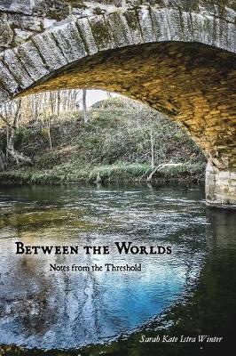 Book cover for Between the Worlds