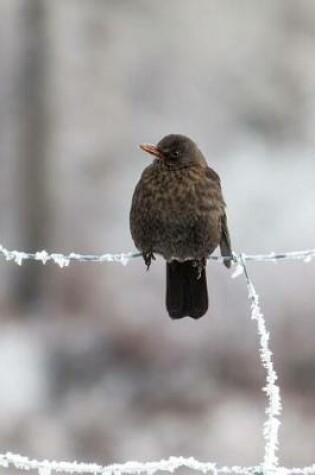 Cover of Sweet Little Brown Bird Sitting on a Snowy Fence Journal