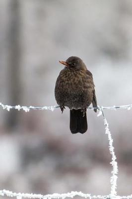 Book cover for Sweet Little Brown Bird Sitting on a Snowy Fence Journal