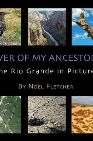 Cover of River of My Ancestors