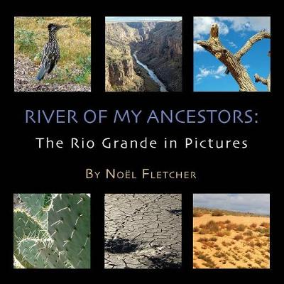 Cover of River of My Ancestors