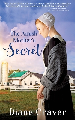 Book cover for The Amish Mother's Secret