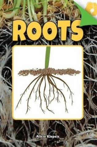 Cover of Roots