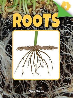 Cover of Roots