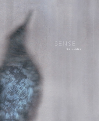 Book cover for Ann Hamilton: Sense