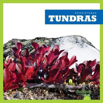 Book cover for Tundras (Tundras)
