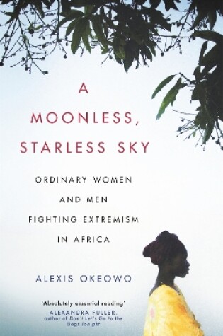 Cover of A Moonless, Starless Sky