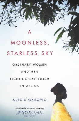 Book cover for A Moonless, Starless Sky
