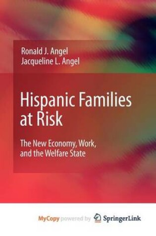 Cover of Hispanic Families at Risk