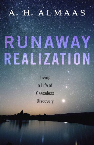 Book cover for Runaway Realization